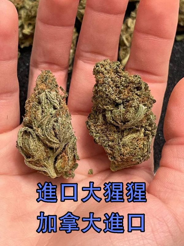 大麻吸食心得，台北陳先生分享抽大麻感覺飛行資訊